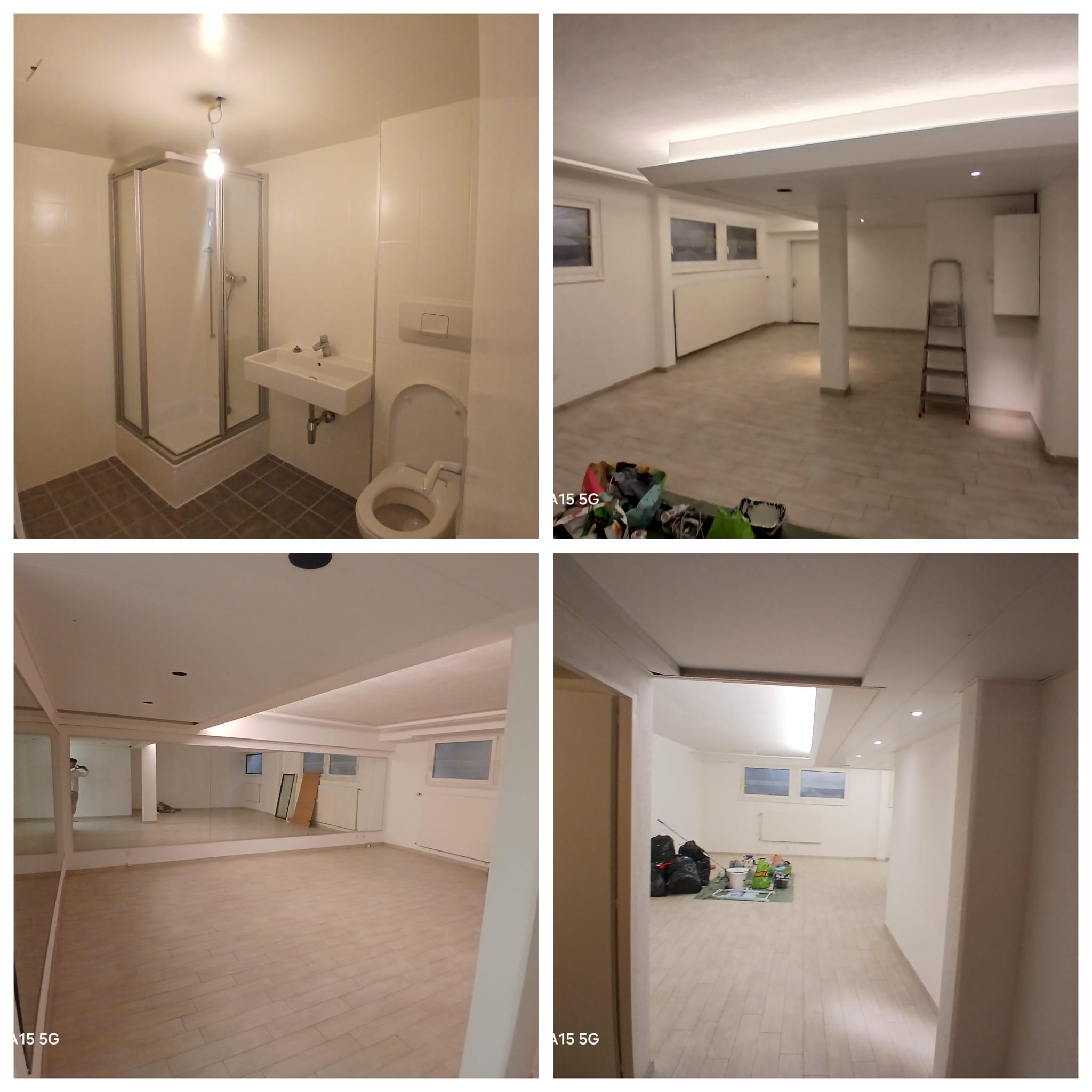 Peintre indépendant disponible a geneve et alentours